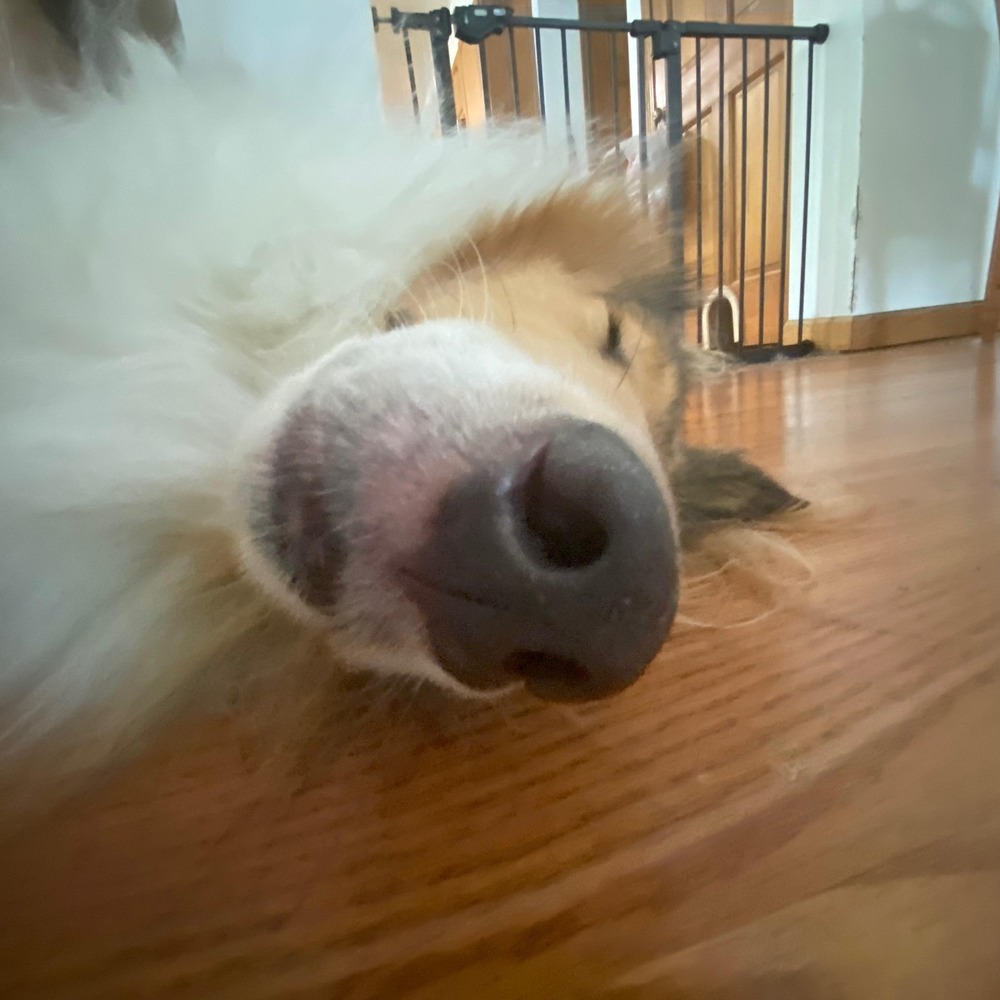 Meet your Posher, Emily